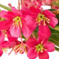 Umelá kvitnúca vetvička orchidey Oncidium 112 cm, 3 ks | Floristik24.sk