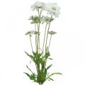 Floristik24 Umelá kvetina svrab biely záhradný kvet V64cm zväzok s 3ks