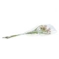 Floristik24 Šachový kvet bielo-ružový zasnežený L45cm 6ks