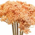 Floristik24 Rebríček umelé kvety oranžové 50cm 5ks v zväzku