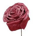 Floristik24 Penová ruža mix Ø10cm 6ks