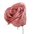 Floristik24 Penová ruža mix v červenej farbe Ø7cm 12p