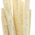Floristik24 Trstina deko trstinová tráva sušená bielená H60cm zväzok