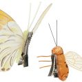 Floristik24 Motýľ, včielka deko na klipe 4cm - 8cm 9ks