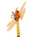 Floristik24 Motýľ a vážka s klipom triedené 6ks