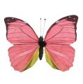 Floristik24 Motýľ ružový na klipe 11cm 6ks