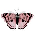 Floristik24 Motýľ ružový 20cm na drôtiku 2ks