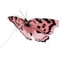 Floristik24 Motýľ ružový 20cm na drôtiku 2ks