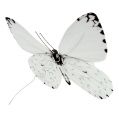 Floristik24 Motýľ biely 20cm na drôte 2ks