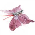 Floristik24 Deco motýle s klipom, motýle perie ružové 4,5–8cm 10ks