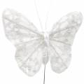 Floristik24 Motýľ pierko s drôtom biely, trblietky 5cm 24ks