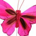 Floristik24 Motýľ z peria s drôtom 7cm ružovo fialový 24ks
