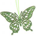 Floristik24 Deco vešiak motýľ zelený glitr8cm 12ks