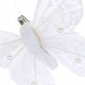 Floristik24 Motýľ z peria na klipe biely 10 cm 12 ks