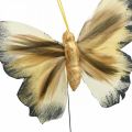 Floristik24 Deco motýlik, jarná dekorácia, moľa na drôtiku hnedá, žltá, biela 6×9cm 12ks