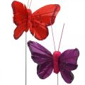 Floristik24 Jarné, pierkové motýliky so sľudou, deko motýlik červená, oranžová, ružová, fialová 4×6,5cm 24ks