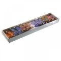 Floristik24 Motýliky pierkové, ozdobné motýliky na paličke, kvetinové zátky ružová, oranžová, fialová, hnedá, modrá, béžová 6×8cm 12ks
