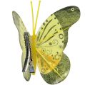 Floristik24 Motýle s klipom 5cm - 7cm 10ks