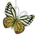 Floristik24 Motýlik na zavesenie rôzne farby 5,5cm 3ks