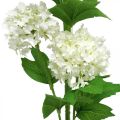 Floristik24 Snehová guľa Konár Umelá rastlina Hodvábny kvet Biely Ø6,5cm L78cm