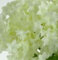 Floristik24 Snehová guľa, hodvábne kvety biele 47cm