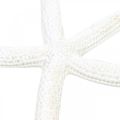Floristik24 Dekorácia hviezdice biela, prírodniny, námorná dekorácia 10-12cm 14p