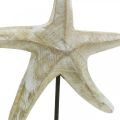 Floristik24 Hviezdica na umiestnenie, námorná dekorácia dreva prírodná farba, biela V23,5cm