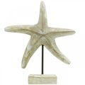 Floristik24 Hviezdica na umiestnenie, námorná dekorácia dreva prírodná farba, biela V23,5cm