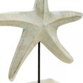 Floristik24 Hviezdica z dreva, dekoratívna socha námorná, morská dekorácia prírodné farby, biela V28cm