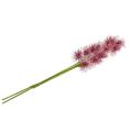 Floristik24 Hodvábne kvety Xanthium erika 63cm 4ks