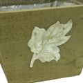 Floristik24 Debnička na rastliny drevo shabby chic drevená debnička zelená 11×14,5×14cm