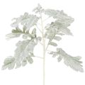 Floristik24 Umelá vetvička Senecio, strieborný list, prepracovaná výroba, 45 cm, 3 kusy