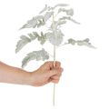 Umelá vetvička Senecio, strieborný list, prepracovaná výroba, 45 cm, 3 kusy | Floristik24.sk
