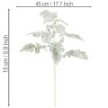 Umelá vetvička Senecio, strieborný list, prepracovaná výroba, 45 cm, 3 kusy | Floristik24.sk