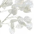 Floristik24 Deco vetvička strieborná listová biela vetvička Lunaria umelá vetvička 70cm