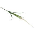 Floristik24 Strieborné vlasy tráva zelená rastlina sladká tráva umelá 104cm