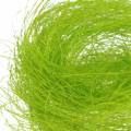 Floristik24 Sisal jarná zelená dekoračná tráva 300g