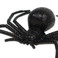 Floristik24 Pavúk čierny 16cm so sľudou