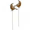 Floristik24 Záhradný kolík vtáčik s čiapkou patinovaná dekorácia 12cm 6ks