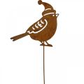 Floristik24 Záhradný kolík vtáčik s čiapkou patinovaná dekorácia 12cm 6ks