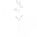 Floristik24 Jarná dekorácia, deco plug kvetina shabby chic biela, strieborná D87cm W18cm