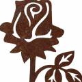 Floristik24 Kovová zátka ruža patina kov 20cm × 8cm 12ks