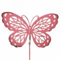 Floristik24 Záhradný kolík motýľ kovový ružový V30cm 6ks