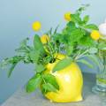 Floristik24 Kameninová váza Lemon Yellow 15cm