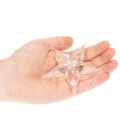 Dekoratívne hviezdicové ozdoby, dúhový číry akryl, vianočné ozdoby na stromček, 9 cm, 6 kusov | Floristik24.sk