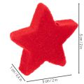 Malá ozdobná hviezdička, floková rozptylová dekorácia, 5 cm, 40 kusov | Floristik24.sk