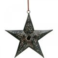 Floristik24 Vianočný vešiak Star Metal Star Black H19cm