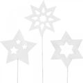 Floristik24 Flower plug stars, advent, kvetinová výzdoba, drevené hviezdičky, prírodné, biele, zlaté trblietky L27/28,5cm 18ks