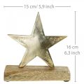 Floristik24 Dekoračná hviezda, kovová dekorácia na mangovom dreve, adventná dekorácia š15cm