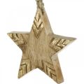 Floristik24 Hviezda z mangovníkového dreva prírodná, zlatá dekorácia na vianočný stromček 12cm 4ks